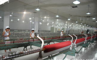 高檔精品時尚品牌羊絨衫誠招代理加盟，廠家直供，優價共贏