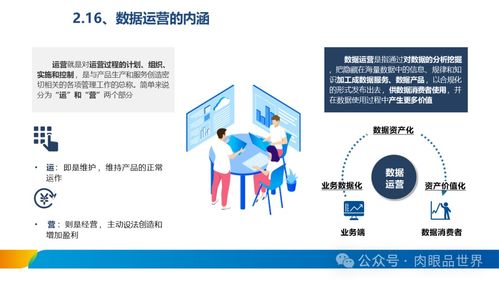 xx集團數(shù)據(jù)治理體系建設方案 數(shù)據(jù)處理及存儲服務